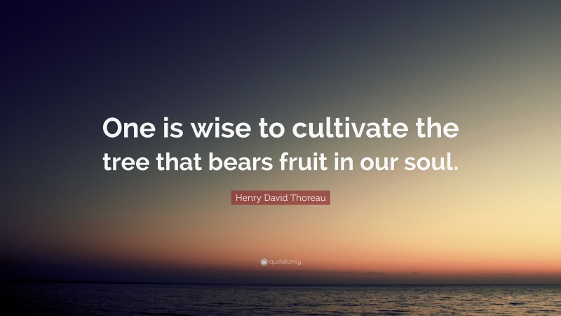 Henry David Thoreau Quote: “One is wise to cultivate the tree that bears fruit in our soul.”