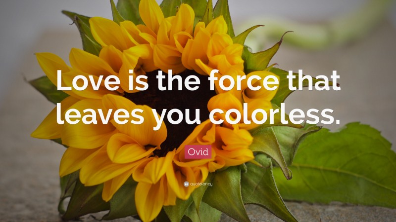 Ovid Quote: “Love is the force that leaves you colorless.”