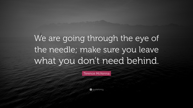 Terence McKenna Quote: “We are going through the eye of the needle; make sure you leave what you don’t need behind.”