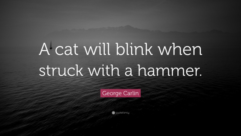 George Carlin Quote: “A cat will blink when struck with a hammer.”