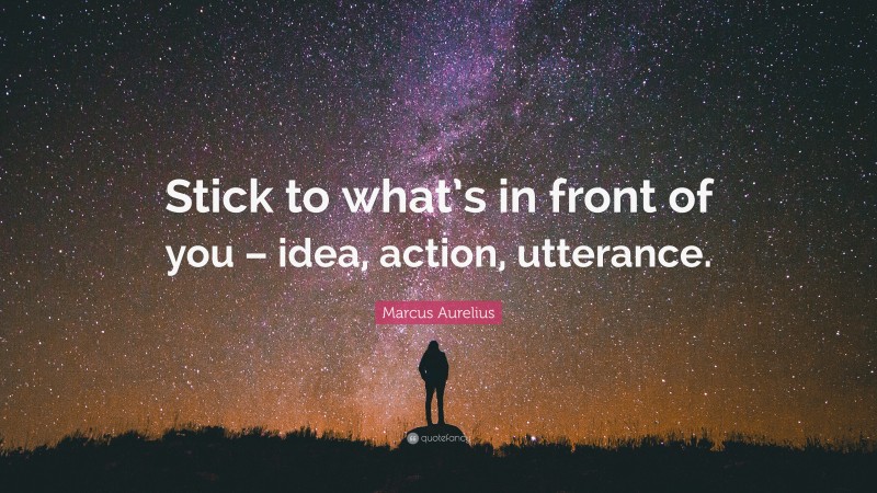 Marcus Aurelius Quote: “Stick to what’s in front of you – idea, action, utterance.”
