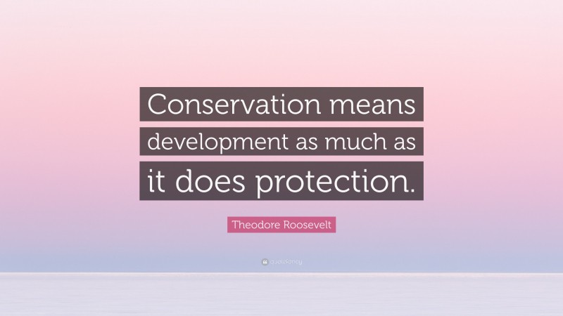 Theodore Roosevelt Quote: “Conservation means development as much as it does protection.”