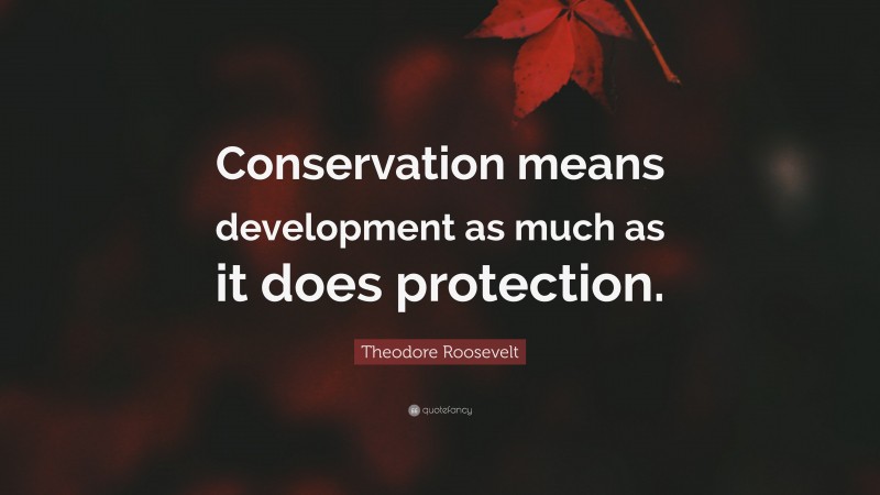 Theodore Roosevelt Quote: “Conservation means development as much as it does protection.”