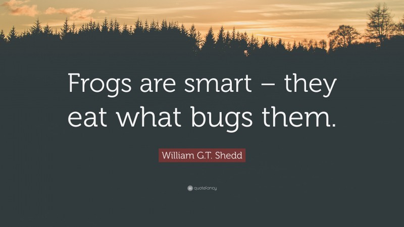 William G.T. Shedd Quote: “Frogs are smart – they eat what bugs them.”