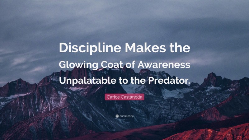 Carlos Castaneda Quote: “Discipline Makes the Glowing Coat of Awareness Unpalatable to the Predator.”