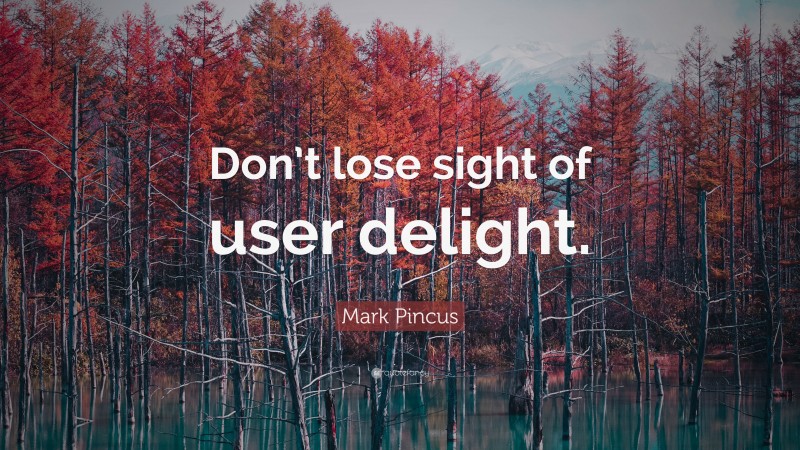 Mark Pincus Quote: “Don’t lose sight of user delight.”
