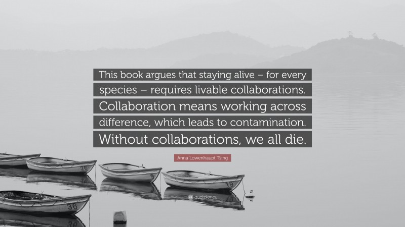 Anna Lowenhaupt Tsing Quote: “This book argues that staying alive – for every species – requires livable collaborations. Collaboration means working across difference, which leads to contamination. Without collaborations, we all die.”