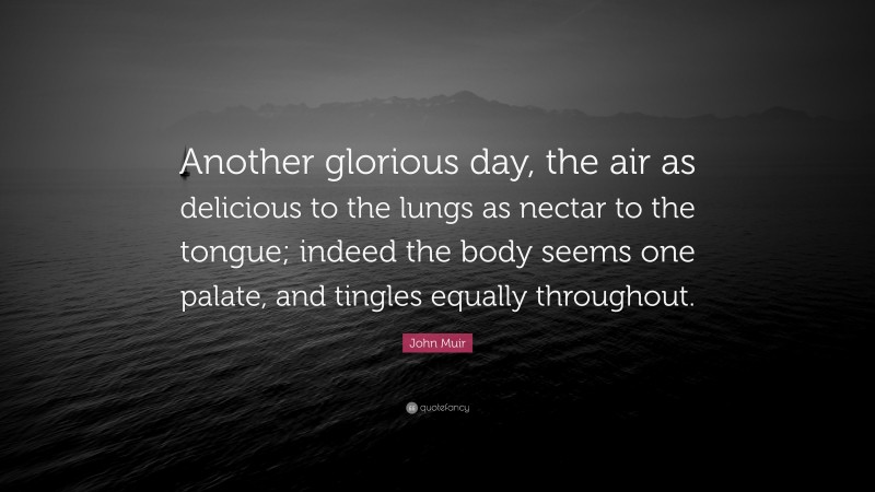 John Muir Quote: “Another glorious day, the air as delicious to the lungs as nectar to the tongue; indeed the body seems one palate, and tingles equally throughout.”