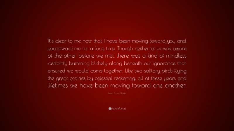 Robert James Waller Quote: “It’s clear to me now that I have been moving toward you and you toward me for a long time. Though neither of us was aware of the other before we met, there was a kind of mindless certainty bumming blithely along beneath our ignorance that ensured we would come together. Like two solitary birds flying the great prairies by celestial reckoning, all of these years and lifetimes we have been moving toward one another.”
