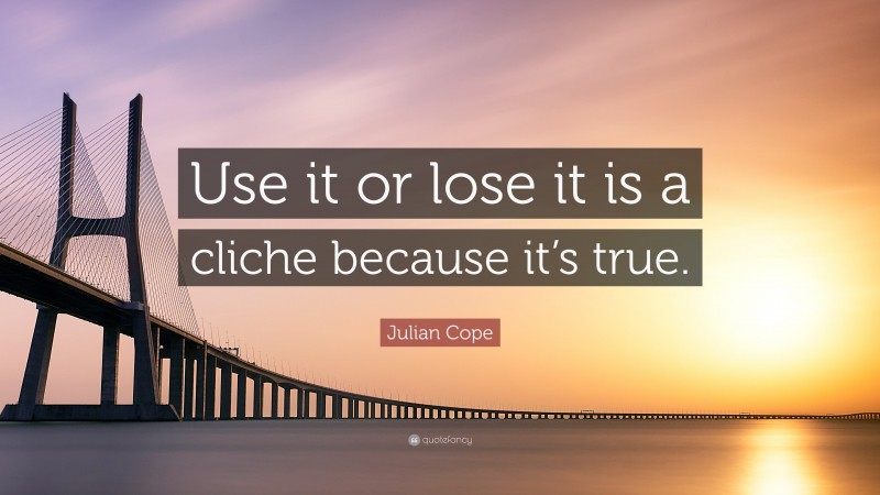 Julian Cope Quote: “Use it or lose it is a cliche because it’s true.”