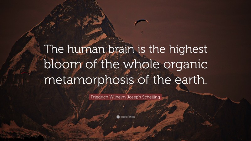 Friedrich Wilhelm Joseph Schelling Quote: “The human brain is the highest bloom of the whole organic metamorphosis of the earth.”