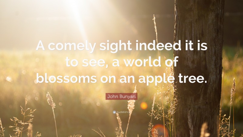 John Bunyan Quote: “A comely sight indeed it is to see, a world of blossoms on an apple tree.”