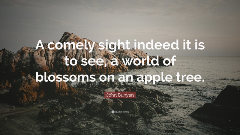 John Bunyan Quote: “A comely sight indeed it is to see, a world of blossoms on an apple tree.”