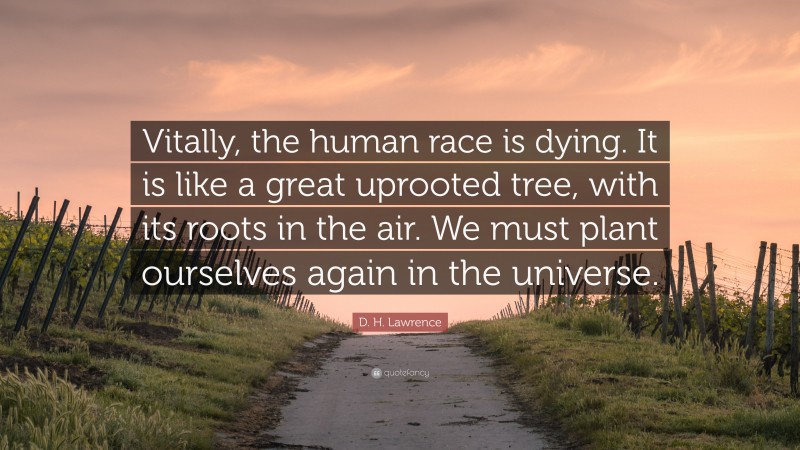 D. H. Lawrence Quote: “Vitally, the human race is dying. It is like a great uprooted tree, with its roots in the air. We must plant ourselves again in the universe.”