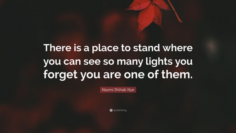 Naomi Shihab Nye Quote: “There is a place to stand where you can see so many lights you forget you are one of them.”
