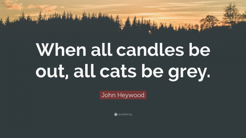 John Heywood Quote: “When all candles be out, all cats be grey.”