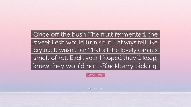 Seamus Heaney Quote: “Once off the bush The fruit fermented, the sweet flesh would turn sour. I always felt like crying. It wasn’t fair That all the lovely canfuls smelt of rot. Each year I hoped they’d keep, knew they would not. -Blackberry picking.”