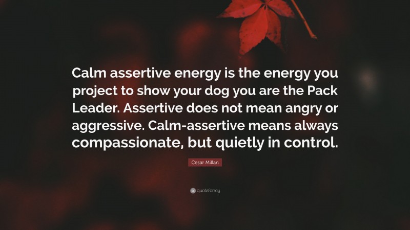 Cesar Millan Quote: “Calm assertive energy is the energy you project to show your dog you are the Pack Leader. Assertive does not mean angry or aggressive. Calm-assertive means always compassionate, but quietly in control.”