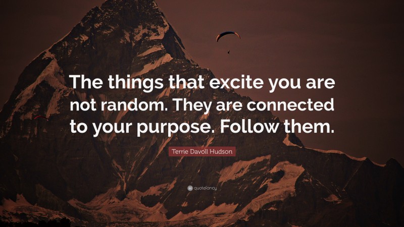 Terrie Davoll Hudson Quote: “The things that excite you are not random. They are connected to your purpose. Follow them.”