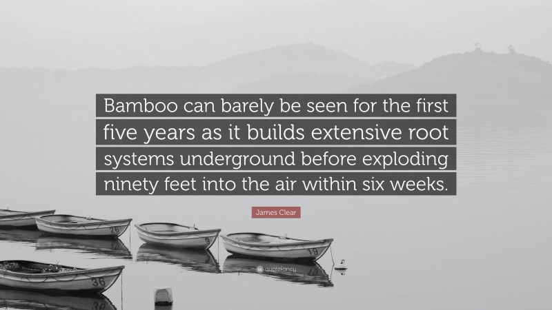 James Clear Quote: “Bamboo can barely be seen for the first five years as it builds extensive root systems underground before exploding ninety feet into the air within six weeks.”