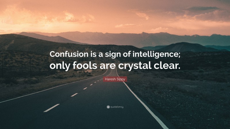 Haresh Sippy Quote: “Confusion is a sign of intelligence; only fools are crystal clear.”
