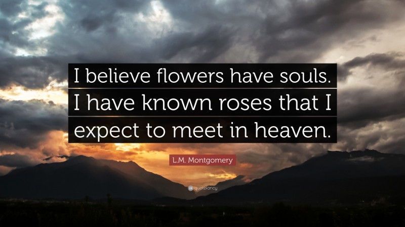 L.M. Montgomery Quote: “I believe flowers have souls. I have known roses that I expect to meet in heaven.”