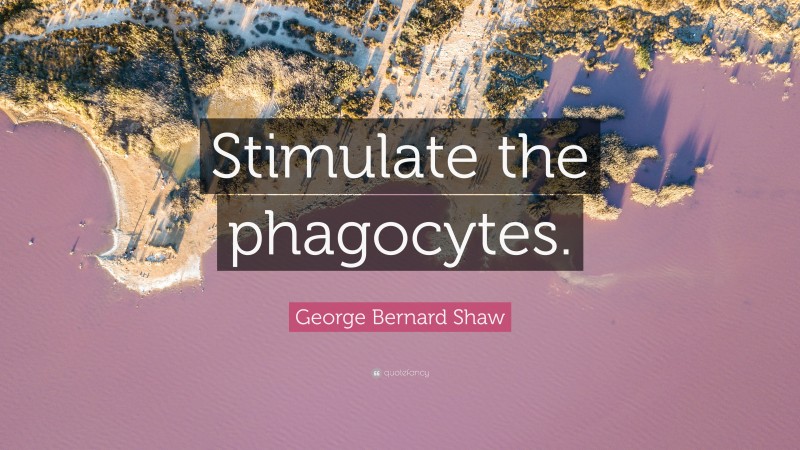 George Bernard Shaw Quote: “Stimulate the phagocytes.”