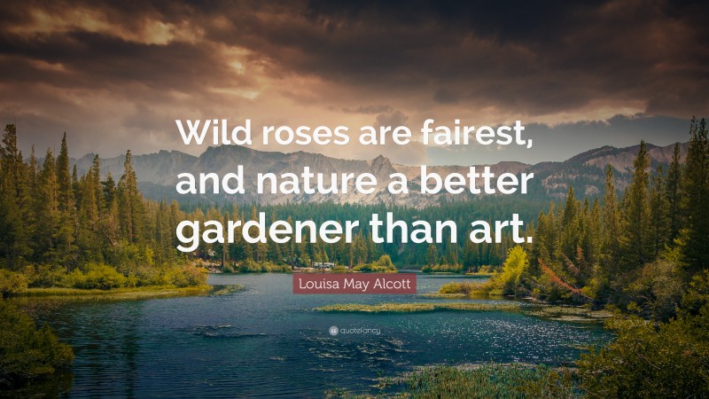 Louisa May Alcott Quote: “Wild roses are fairest, and nature a better gardener than art.”