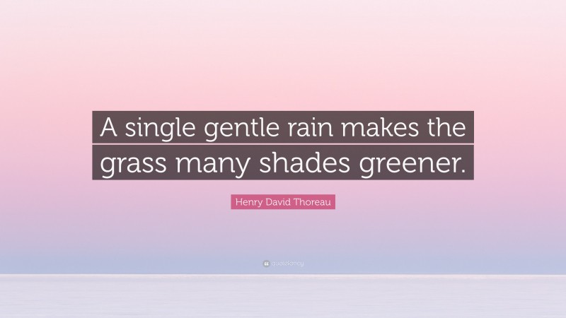 Henry David Thoreau Quote: “A single gentle rain makes the grass many shades greener.”