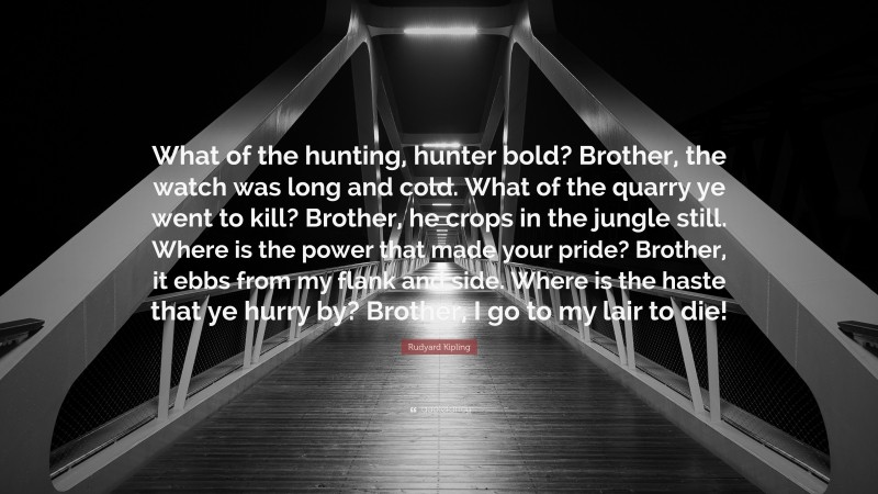 Rudyard Kipling Quote: “What of the hunting, hunter bold? Brother, the watch was long and cold. What of the quarry ye went to kill? Brother, he crops in the jungle still. Where is the power that made your pride? Brother, it ebbs from my flank and side. Where is the haste that ye hurry by? Brother, I go to my lair to die!”