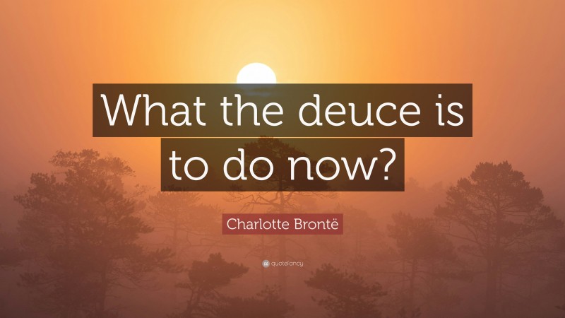 Charlotte Brontë Quote: “What the deuce is to do now?”