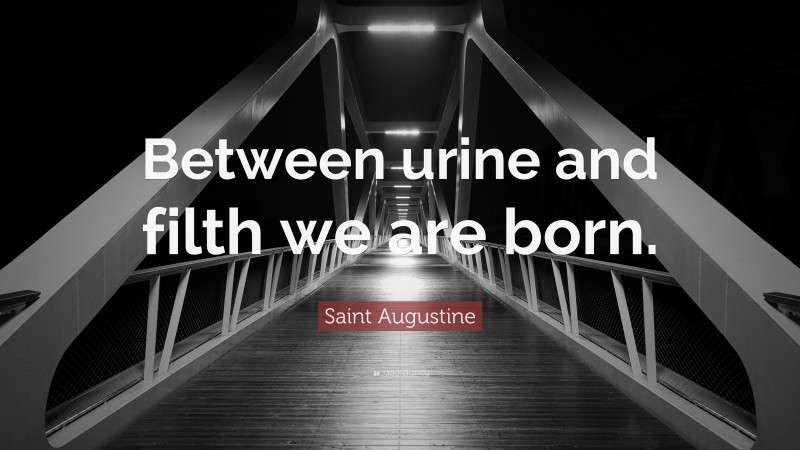 Saint Augustine Quote: “Between urine and filth we are born.”