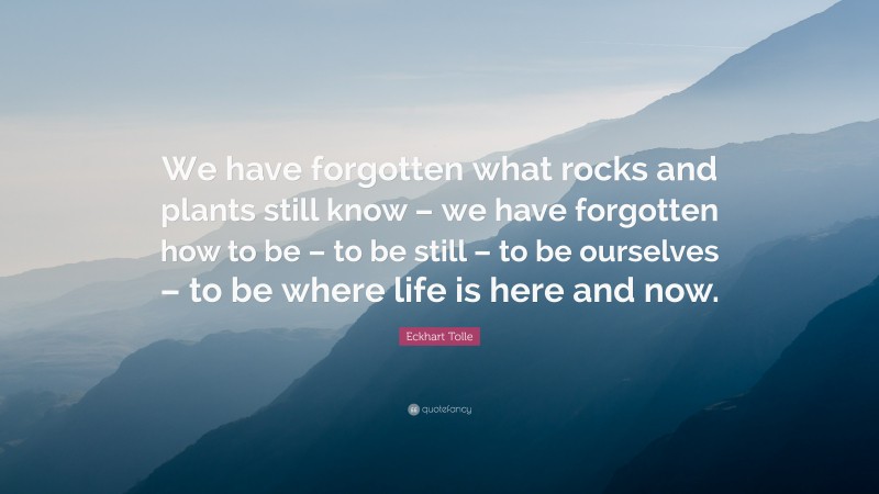 Eckhart Tolle Quote: “We have forgotten what rocks and plants still know – we have forgotten how to be – to be still – to be ourselves – to be where life is here and now.”