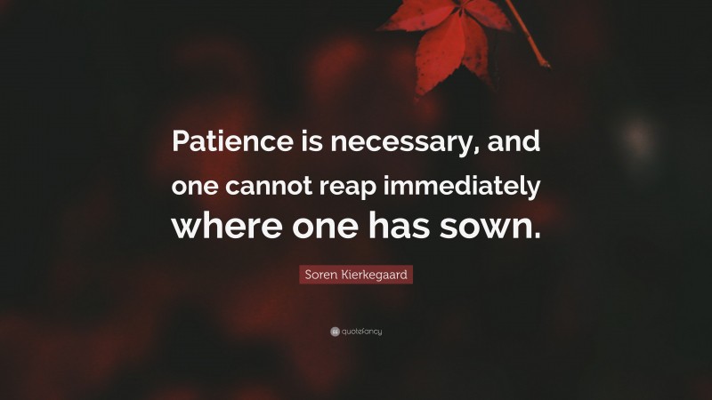 Soren Kierkegaard Quote: “Patience is necessary, and one cannot reap immediately where one has sown.”