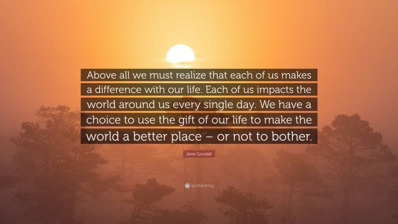 Jane Goodall Quote: “Above all we must realize that each of us makes a difference with our life. Each of us impacts the world around us every single day. We have a choice to use the gift of our life to make the world a better place – or not to bother.”