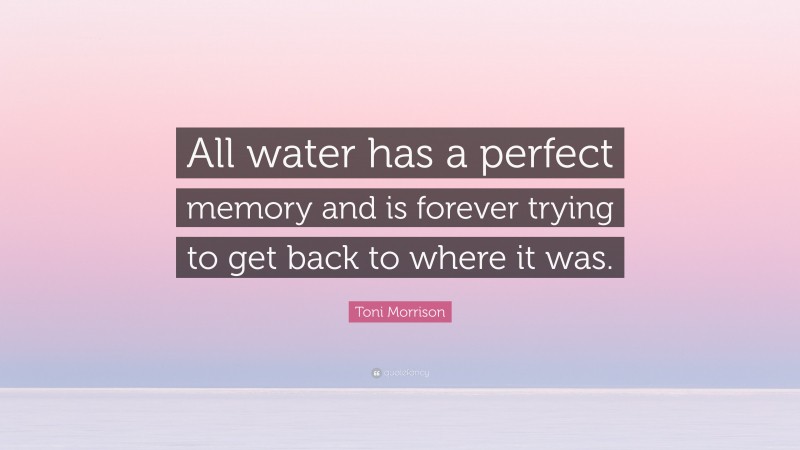 Toni Morrison Quote: “All water has a perfect memory and is forever trying to get back to where it was.”