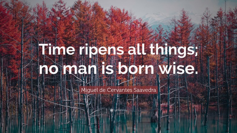 Miguel de Cervantes Saavedra Quote: “Time ripens all things; no man is born wise.”