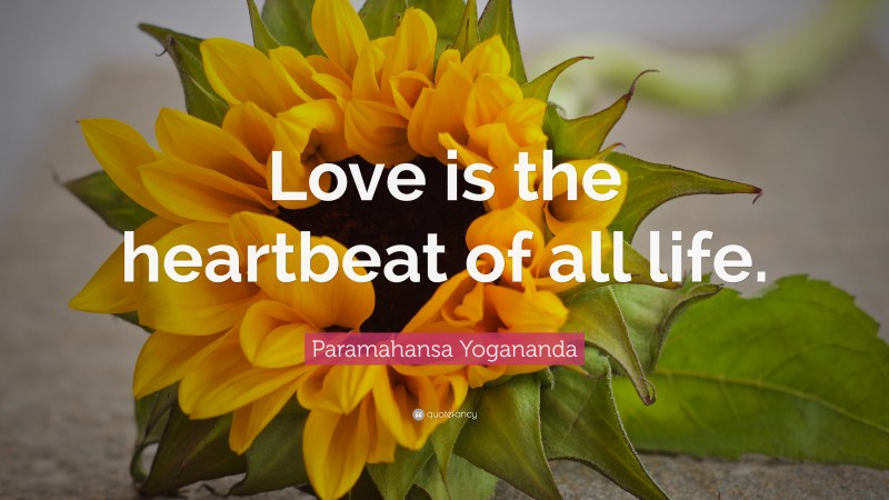 Paramahansa Yogananda Quote: “Love is the heartbeat of all life.”