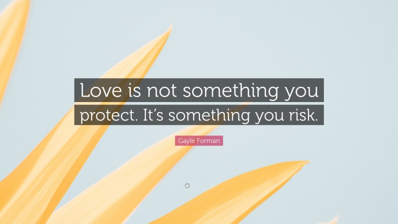 Gayle Forman Quote: “Love is not something you protect. It’s something you risk.”