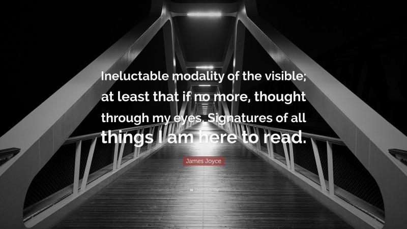 James Joyce Quote: “Ineluctable modality of the visible; at least that if no more, thought through my eyes. Signatures of all things I am here to read.”