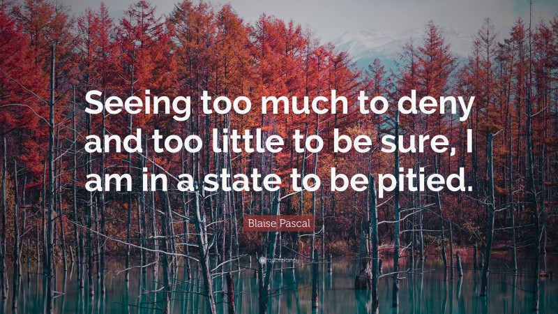 Blaise Pascal Quote: “Seeing too much to deny and too little to be sure, I am in a state to be pitied.”