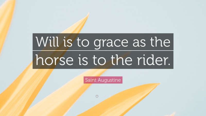 Saint Augustine Quote: “Will is to grace as the horse is to the rider.”