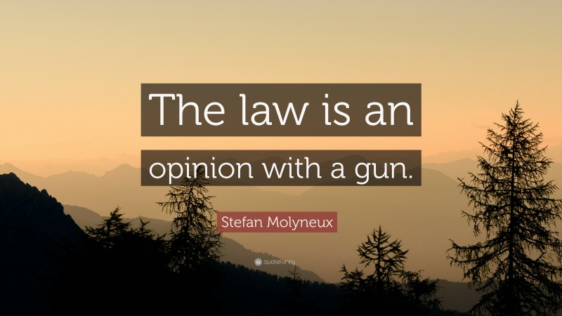 Stefan Molyneux Quote: “The law is an opinion with a gun.”
