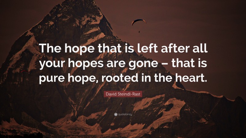 David Steindl-Rast Quote: “The hope that is left after all your hopes are gone – that is pure hope, rooted in the heart.”