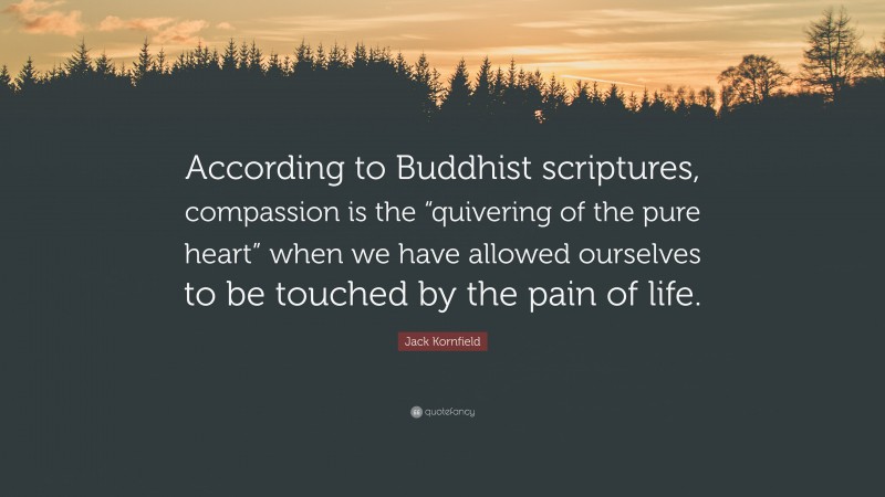 Jack Kornfield Quote: “According to Buddhist scriptures, compassion is the “quivering of the pure heart” when we have allowed ourselves to be touched by the pain of life.”