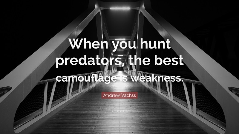Andrew Vachss Quote: “When you hunt predators, the best camouflage is weakness.”