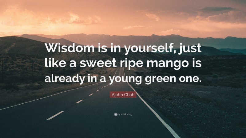 Ajahn Chah Quote: “Wisdom is in yourself, just like a sweet ripe mango is already in a young green one.”