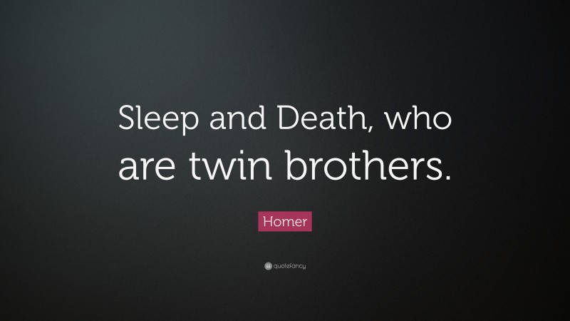 Homer Quote: “Sleep and Death, who are twin brothers.”