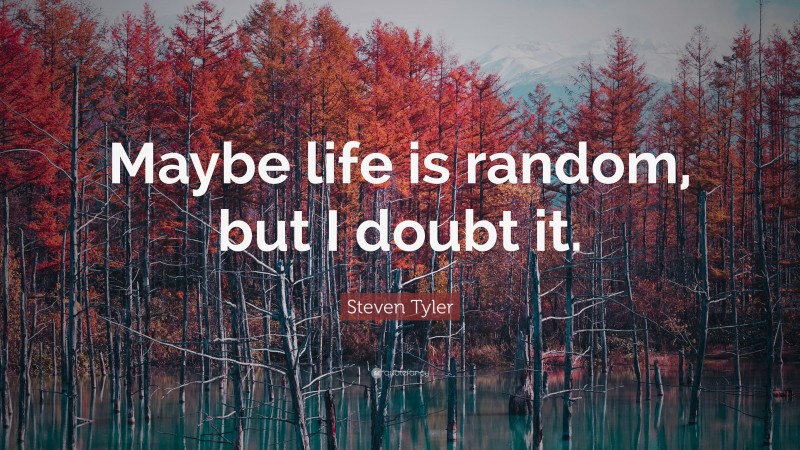 Steven Tyler Quote: “Maybe life is random, but I doubt it.”