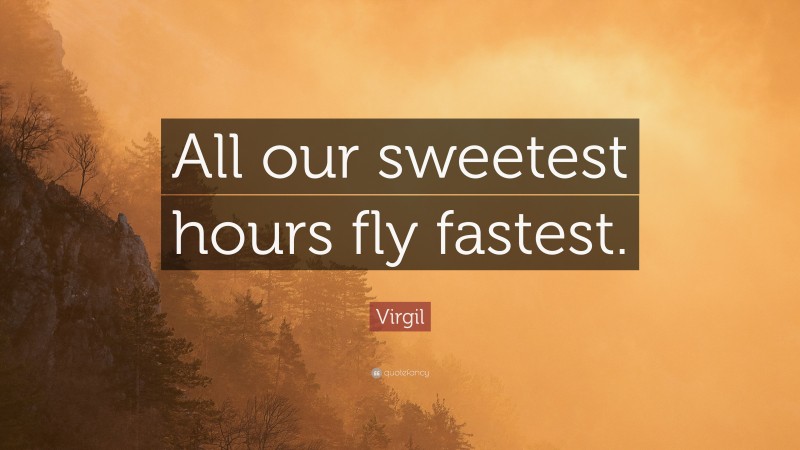 Virgil Quote: “All our sweetest hours fly fastest.”